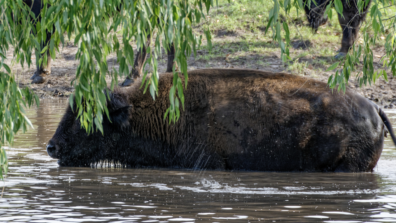 20190801-173911••North Mankato•Minnesota•USA